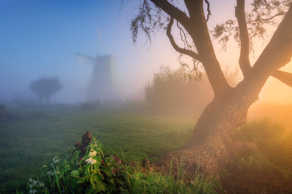 Magic Windmills Enchanting Dutch Landscapes In The Fog By Albert Dros 9