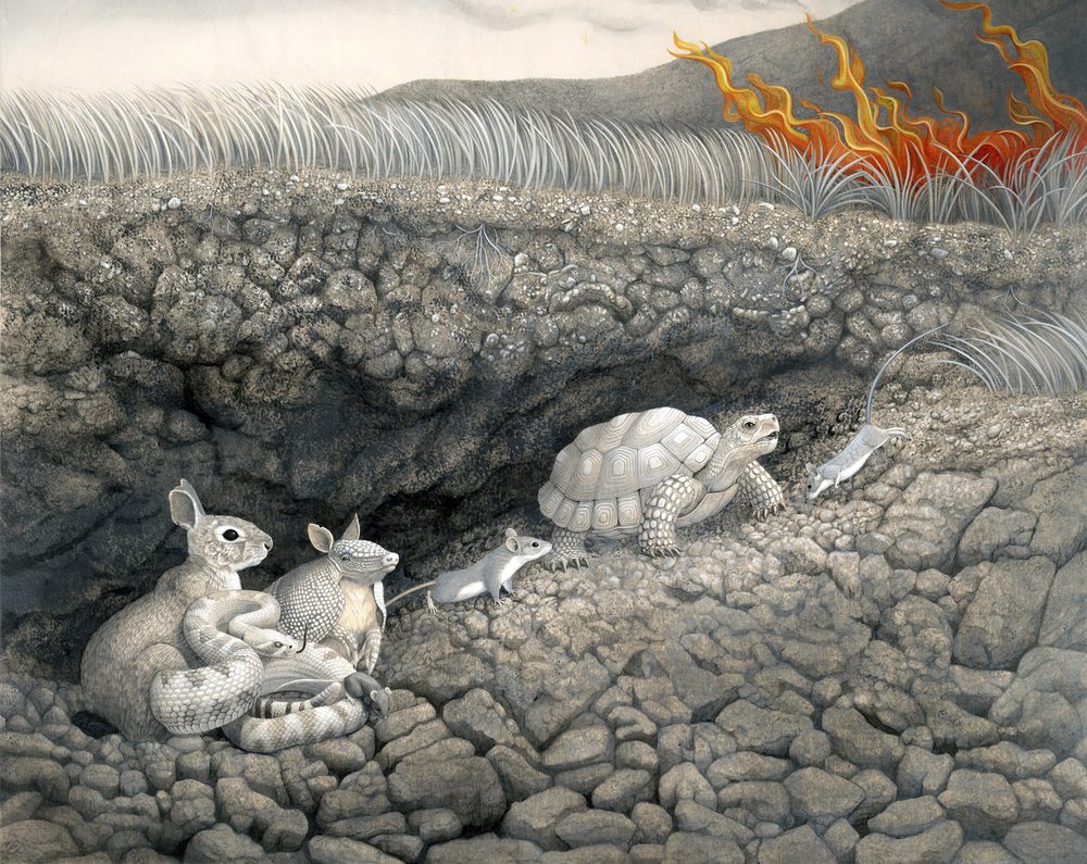 Surreal Wildlife Paintings By Tiffany Bozic 5