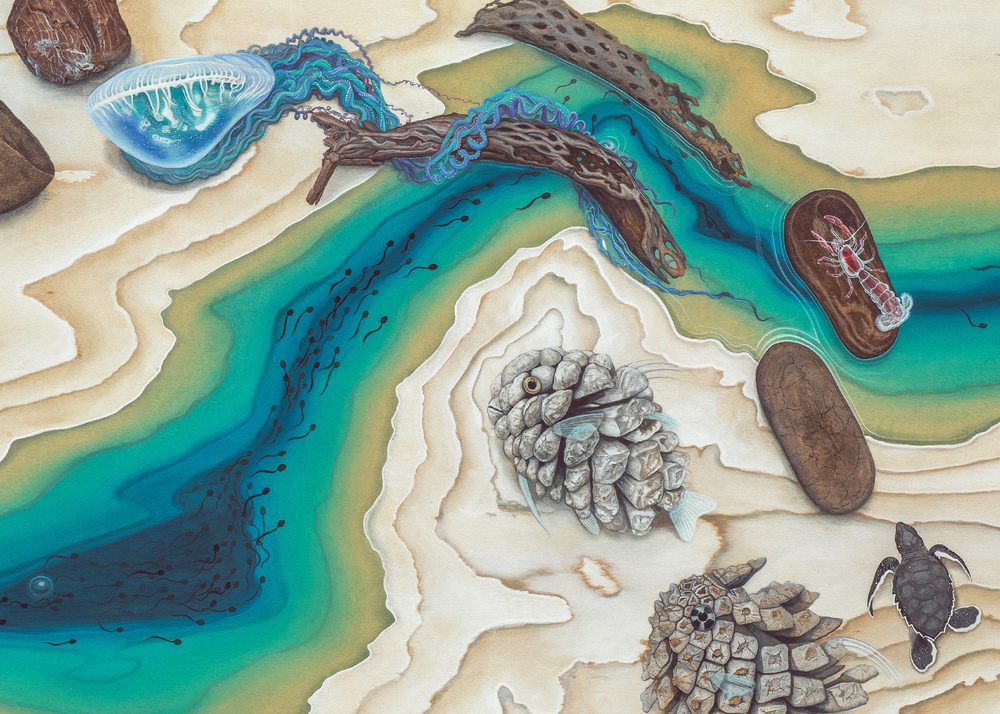 Surreal Wildlife Paintings By Tiffany Bozic 8