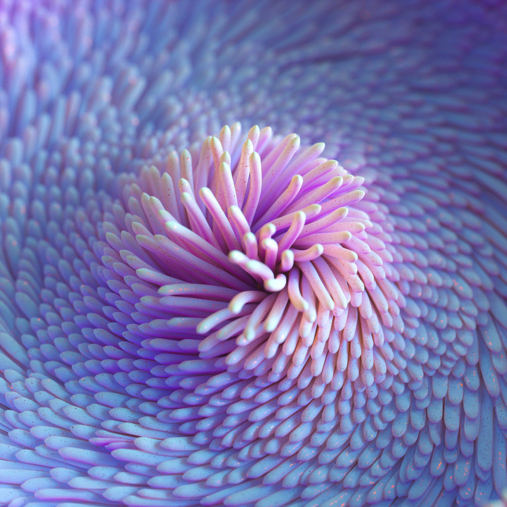 The Organic Digital Art Of Ari Weinkle 11