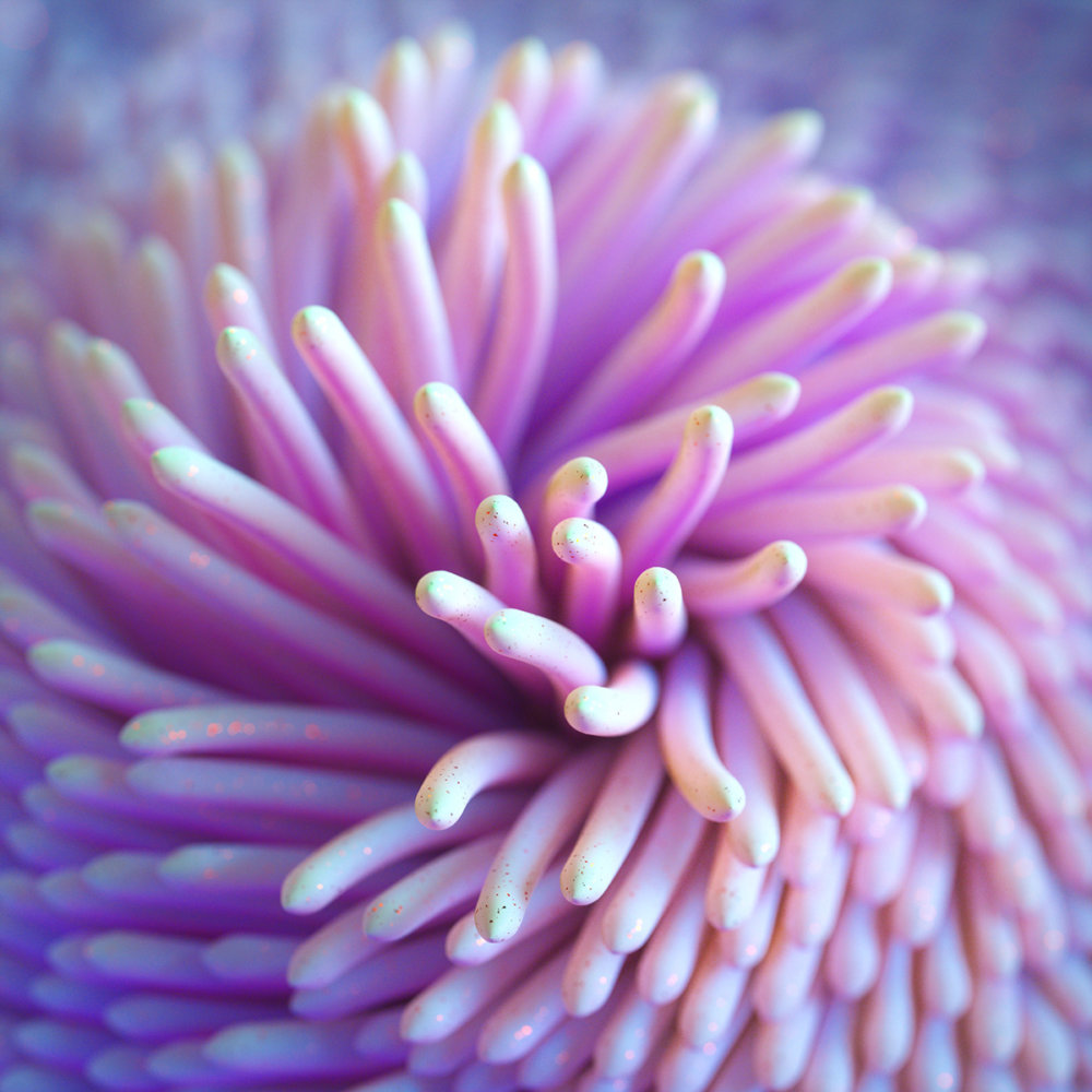 The Organic Digital Art Of Ari Weinkle 12