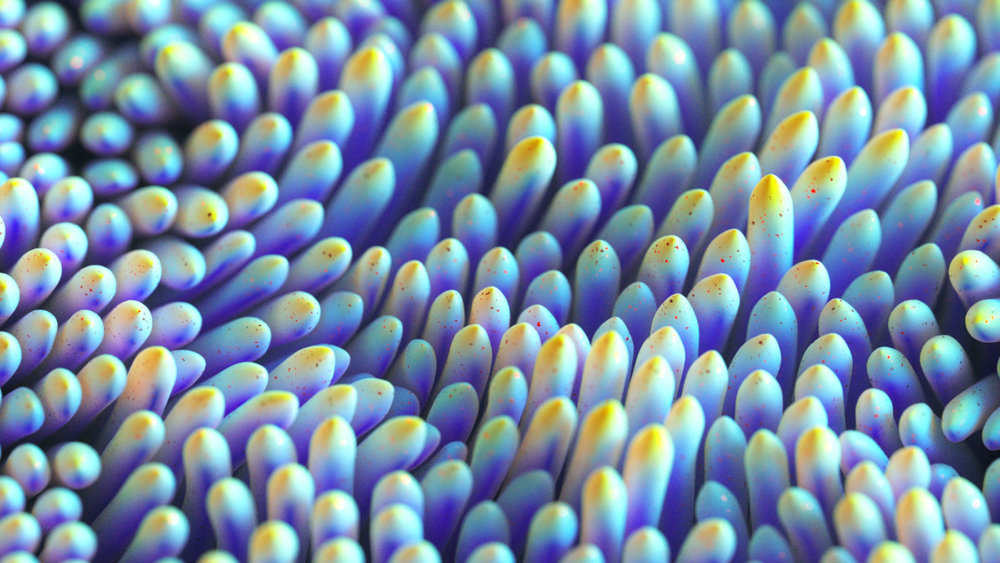 The Organic Digital Art Of Ari Weinkle 6