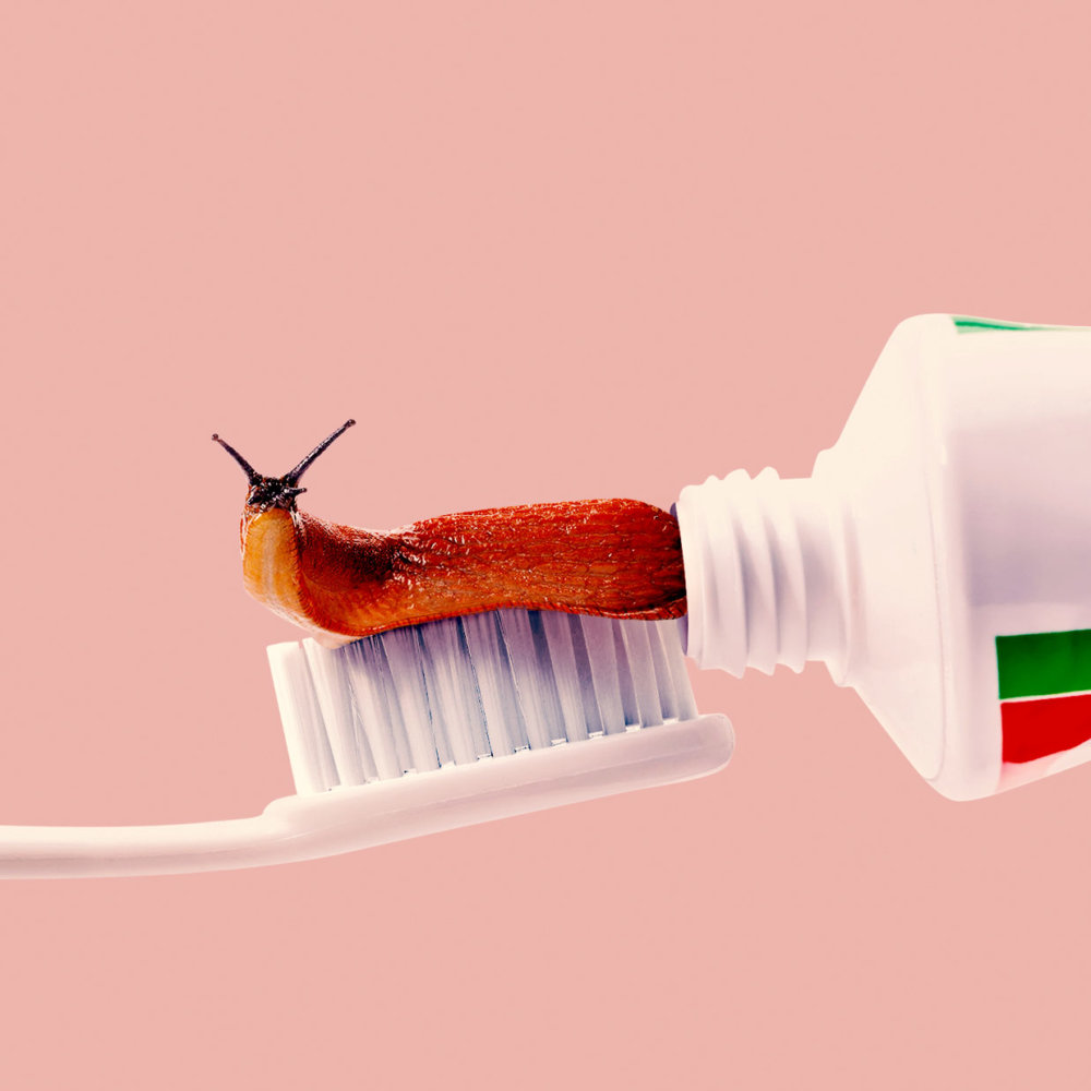 This Or That Photo Manipulations Series By Randy Lewis 15