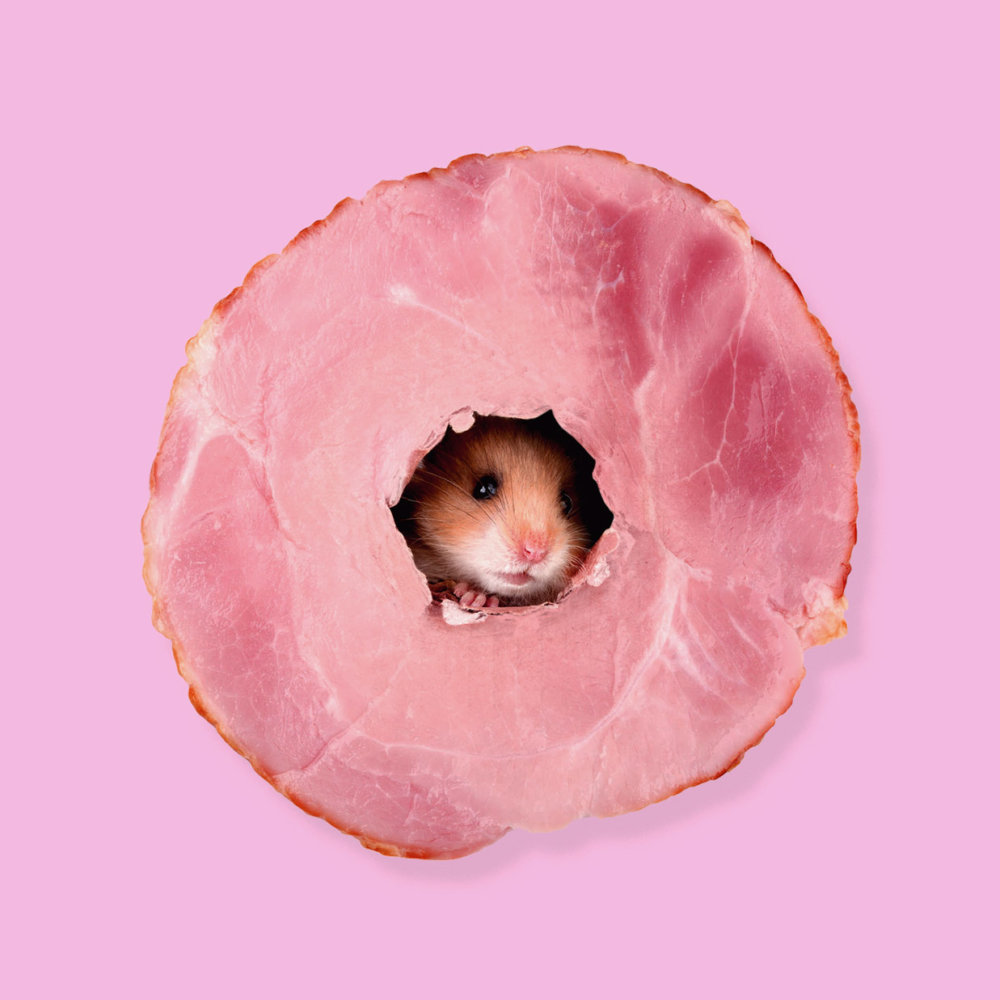 This Or That Photo Manipulations Series By Randy Lewis 8