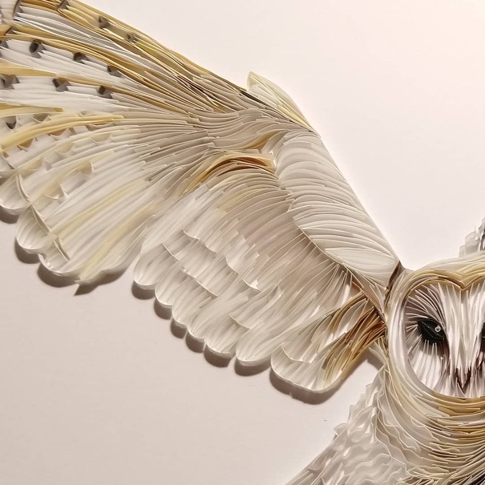 Wonderful Animal Paper Quilling Illustrations By Rebekah Jenkins 4