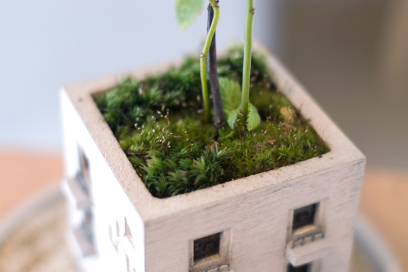 Adorable Planters Inspired By The Urban Environment By Nobuhiro Sato 5