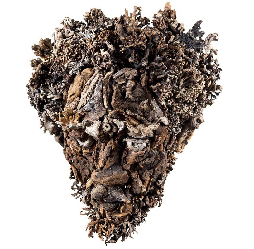 Amazing Head Sculptures Made Of Found Wood By Eyevan Tumbleweed 14