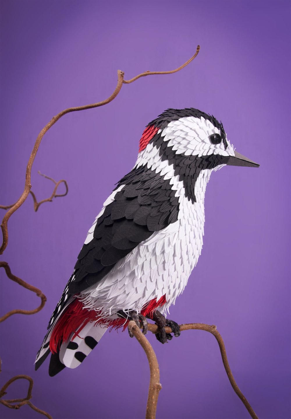 Animal Sculptures Meticulously Made Of Thousands Of Paper Pieces By Lisa Lloyd 5