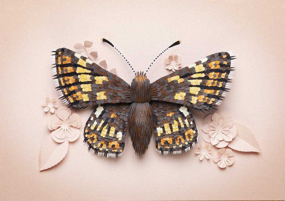 Animal Sculptures Meticulously Made Of Thousands Of Paper Pieces By Lisa Lloyd 6