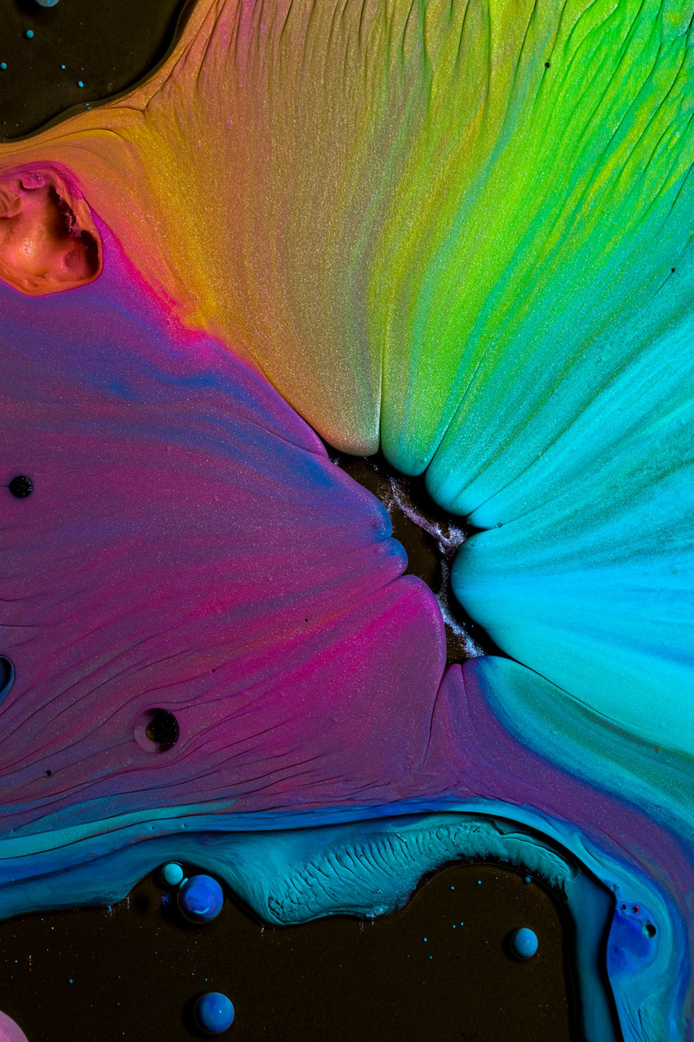 Colorful Macro Experiments With Liquids By Alberto Seveso 2