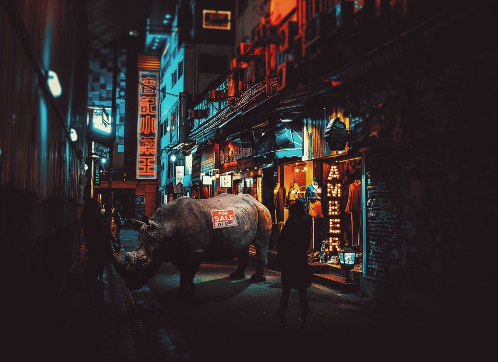 Cyberpunk Scenarios Of Wild Animals Roaming Around Nightly Cityscapes By Carlos Jimenez Varela 2