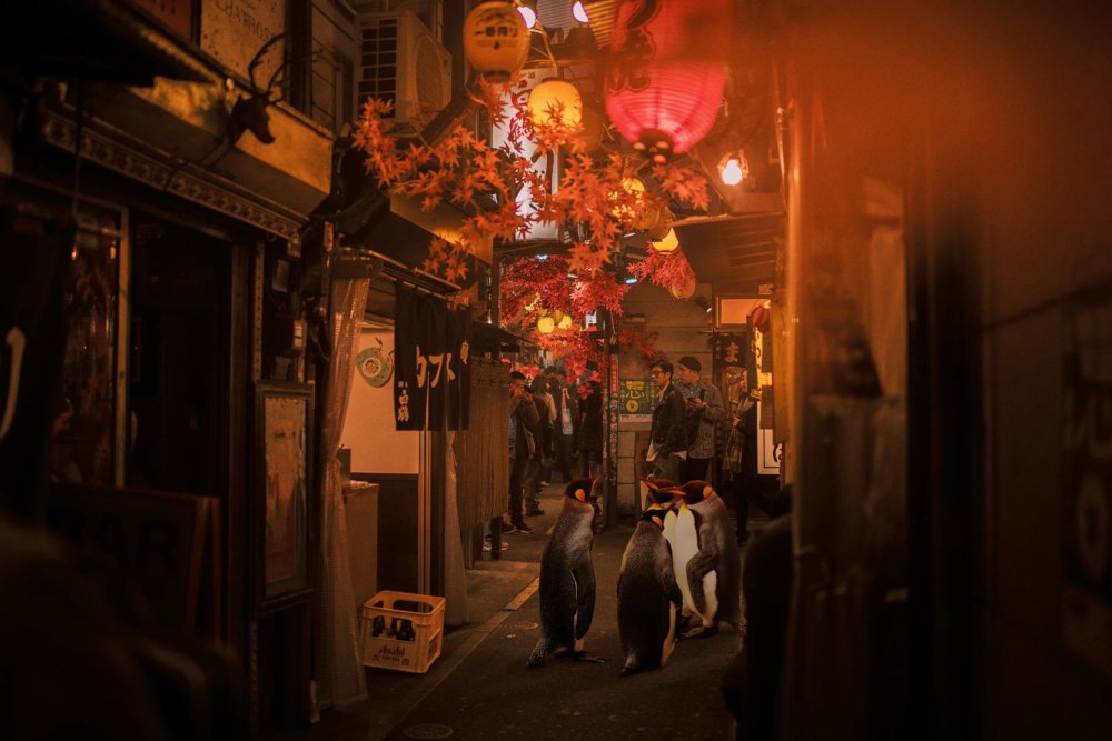 Cyberpunk Scenarios Of Wild Animals Roaming Around Nightly Cityscapes By Carlos Jimenez Varela 3