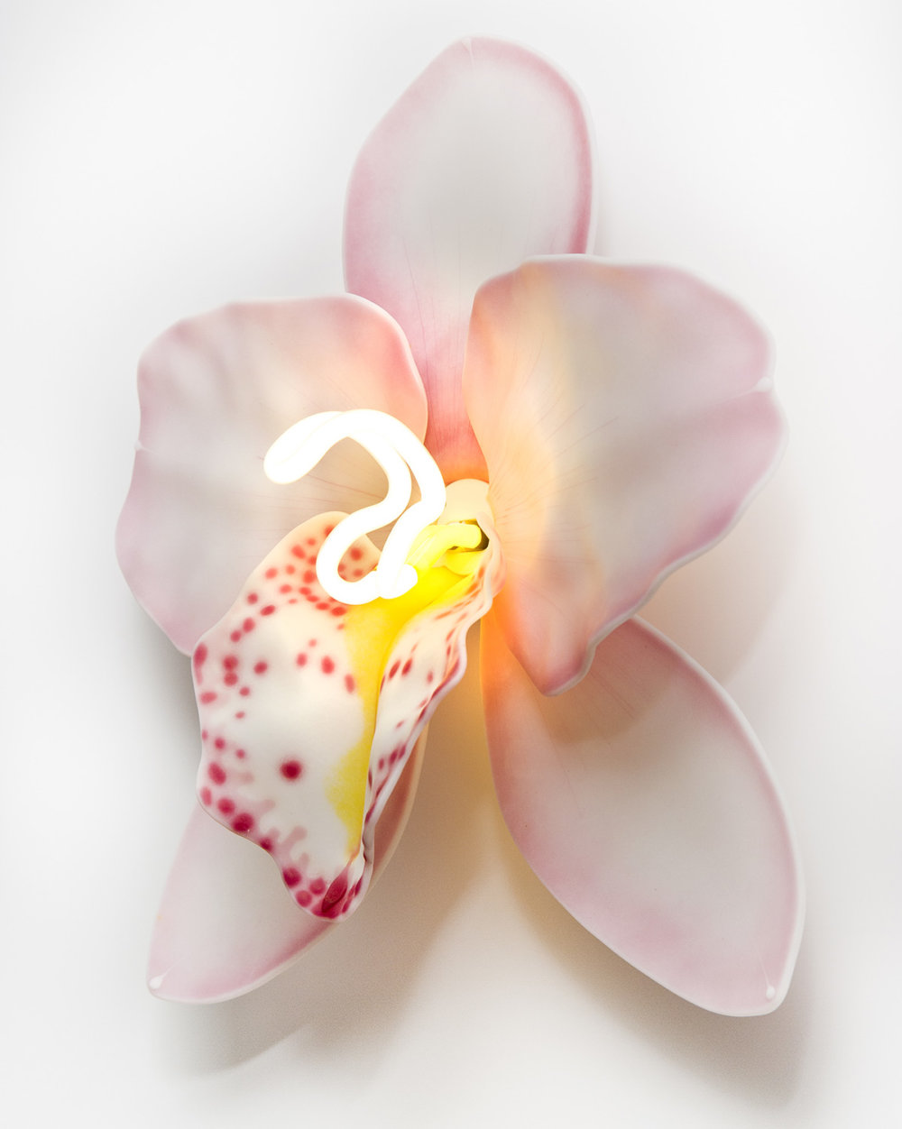 Delicate Orchid Glass Sculptures With Neon Lights By Laura Hart 4