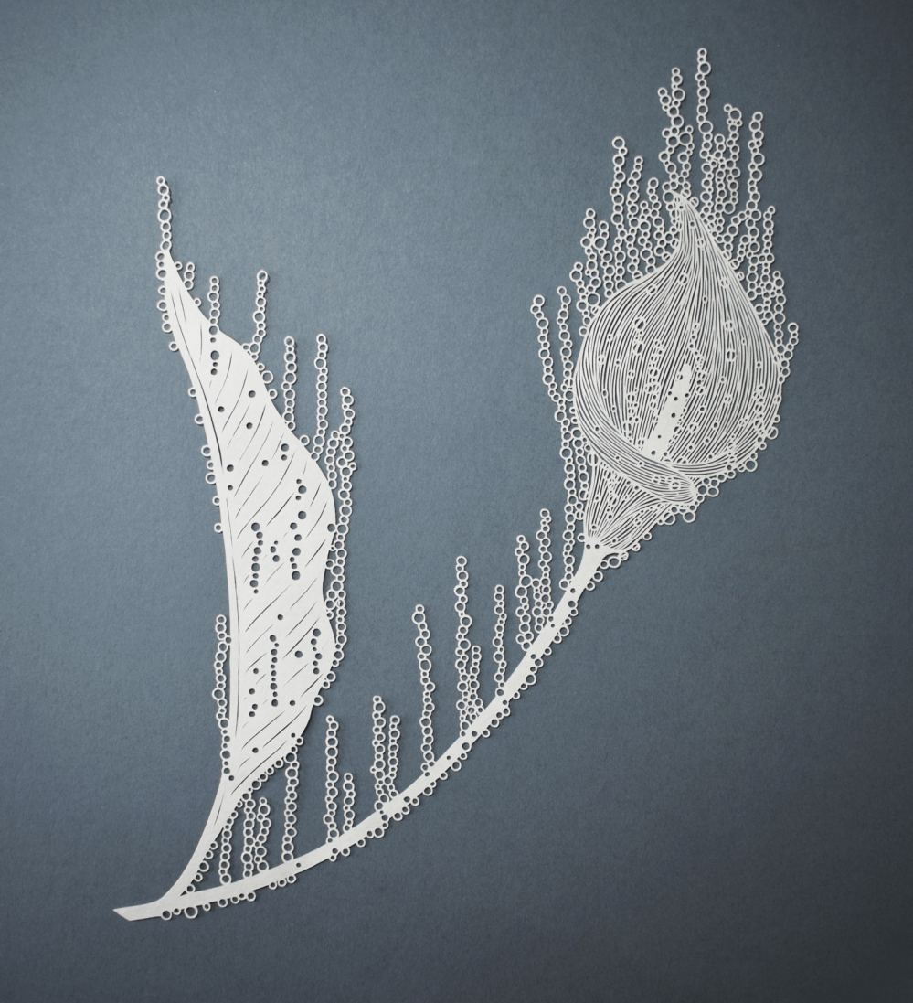 Delightful And Intricate Paper Cuttings By Pippa Dyrlaga 13