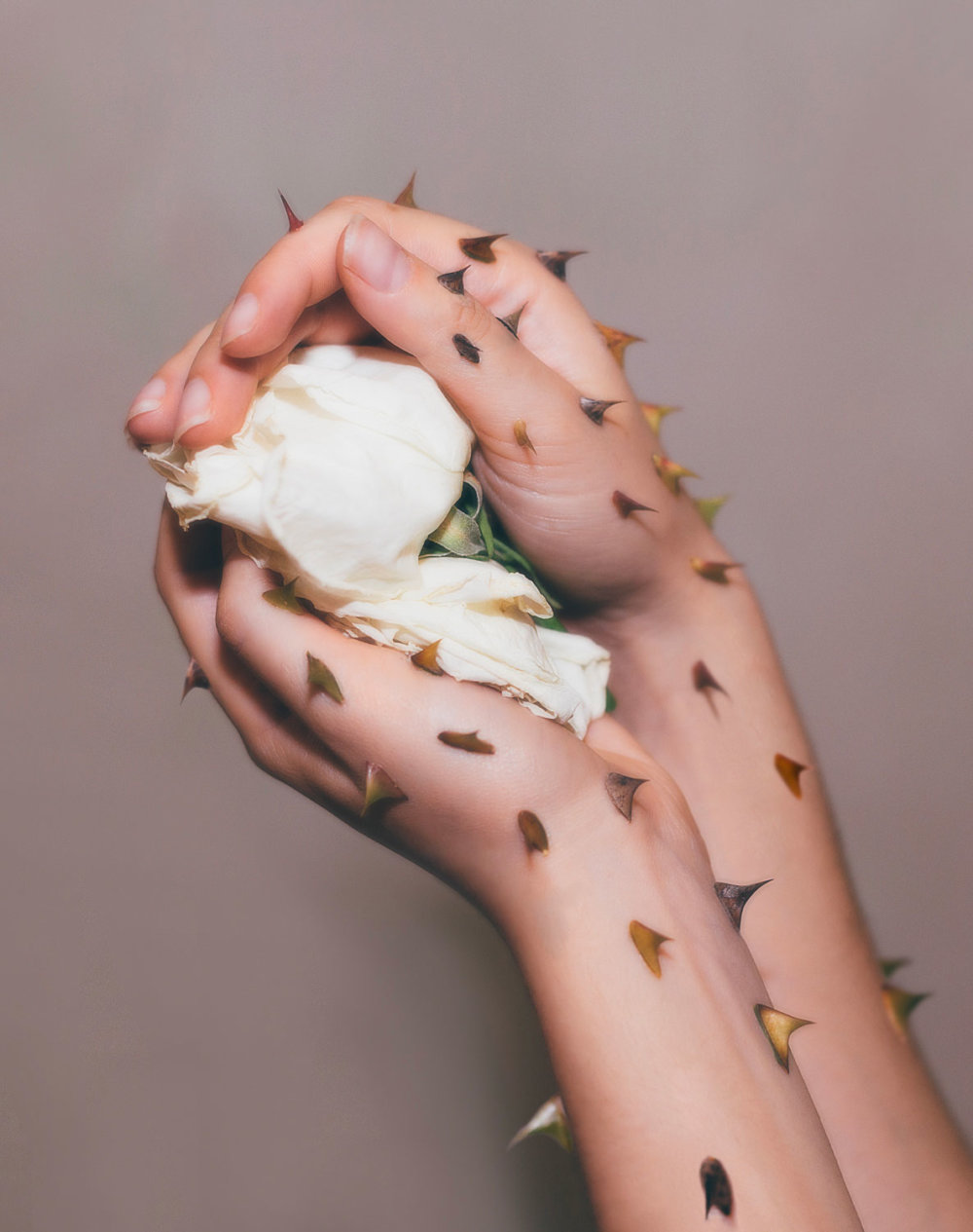 Diving In Lauren Zaknouns Surrealist World 07