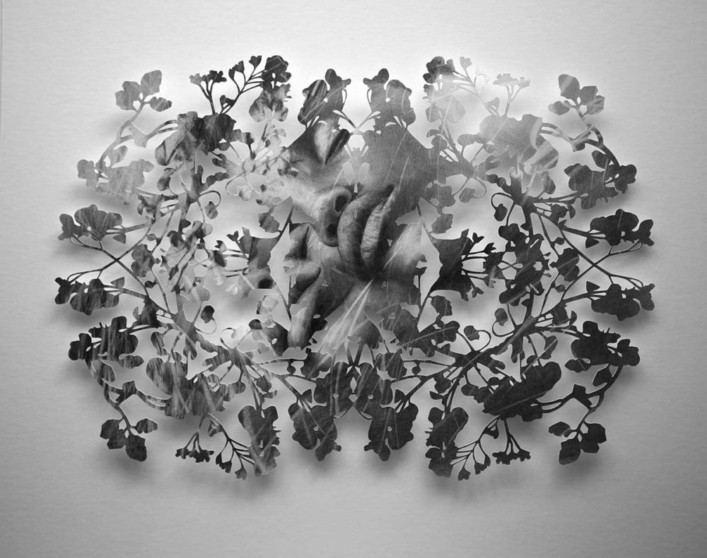 Fragmented Feelings Illustrated Papercut Works By Christine Kim 9