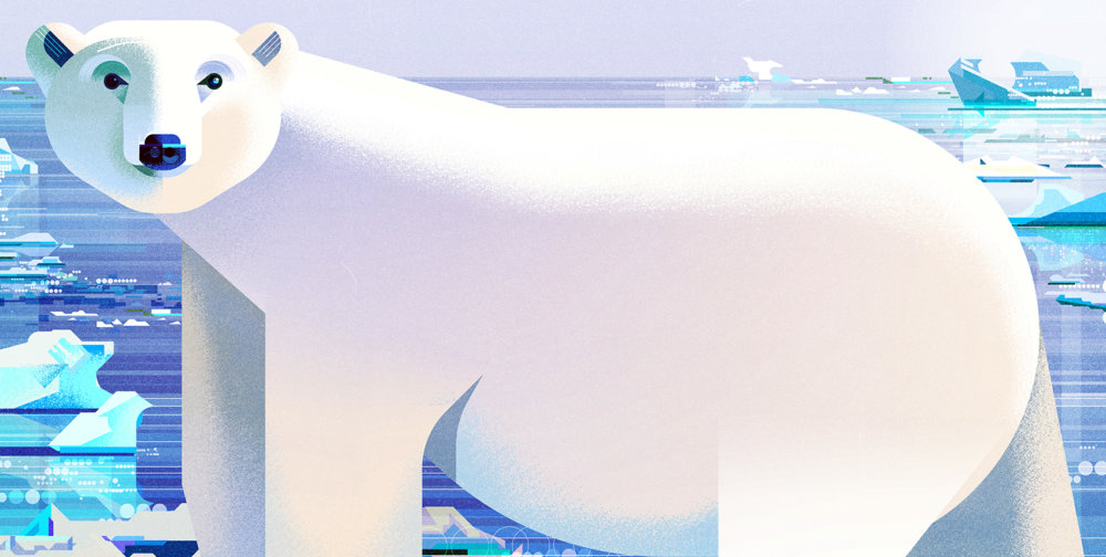 Gorgeous Editorial Illustrations Of Endangered Animals For The Book Saving Species By James Gilleard 6