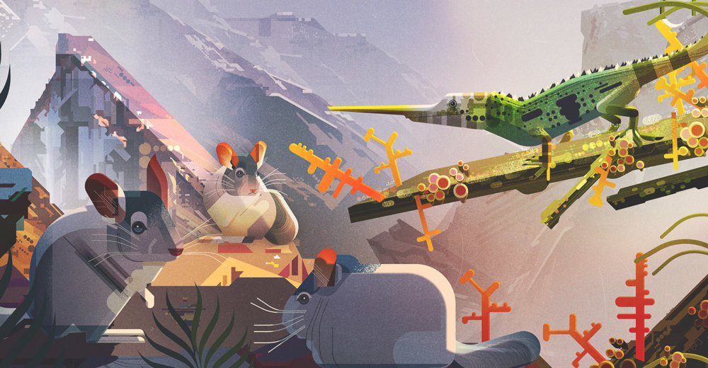 Gorgeous Editorial Illustrations Of Endangered Animals For The Book Saving Species By James Gilleard 8
