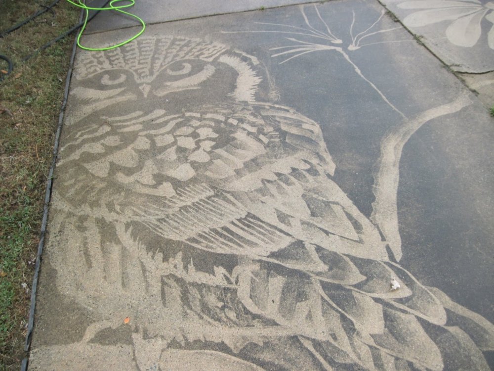 Gorgeous Figures Painted With A Power Washer On Dirty Driveways By Dianna Wood 6