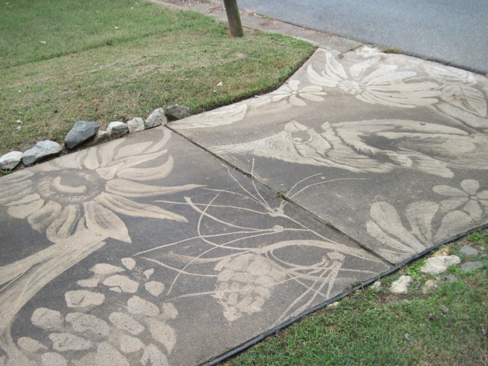 Gorgeous Figures Painted With A Power Washer On Dirty Driveways By Dianna Wood 7