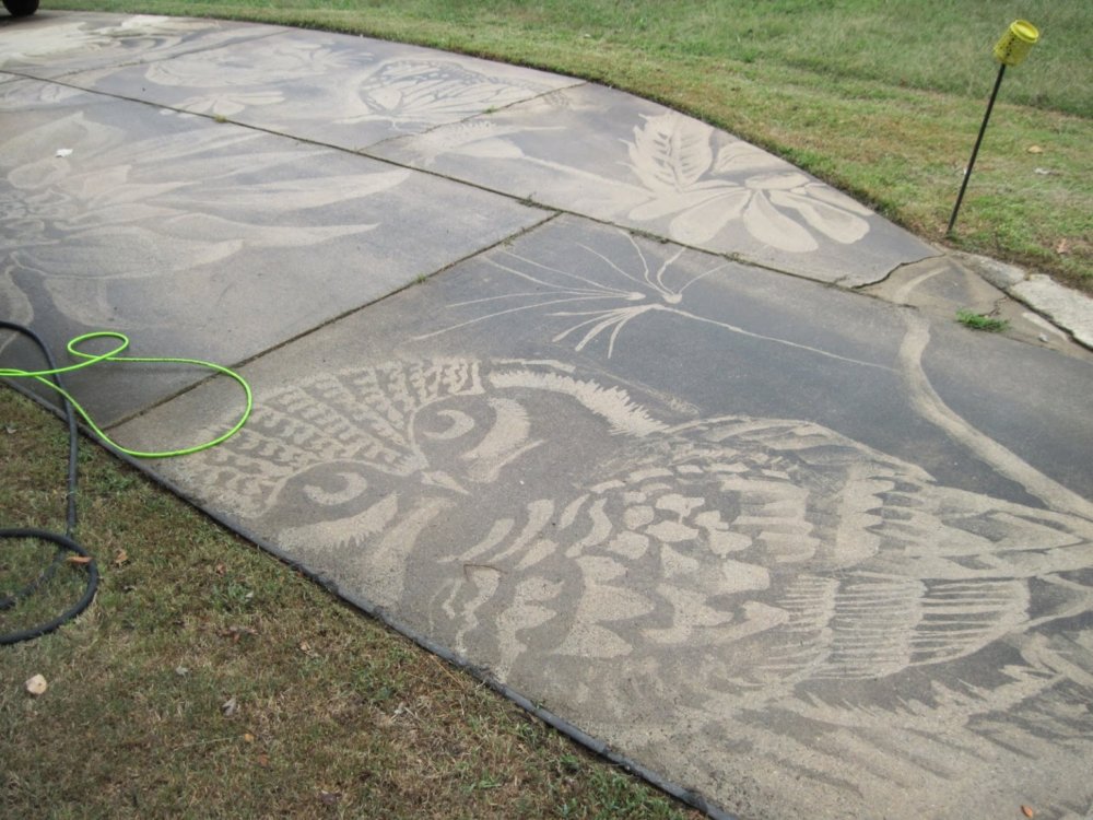 Gorgeous Figures Painted With A Power Washer On Dirty Driveways By Dianna Wood 9