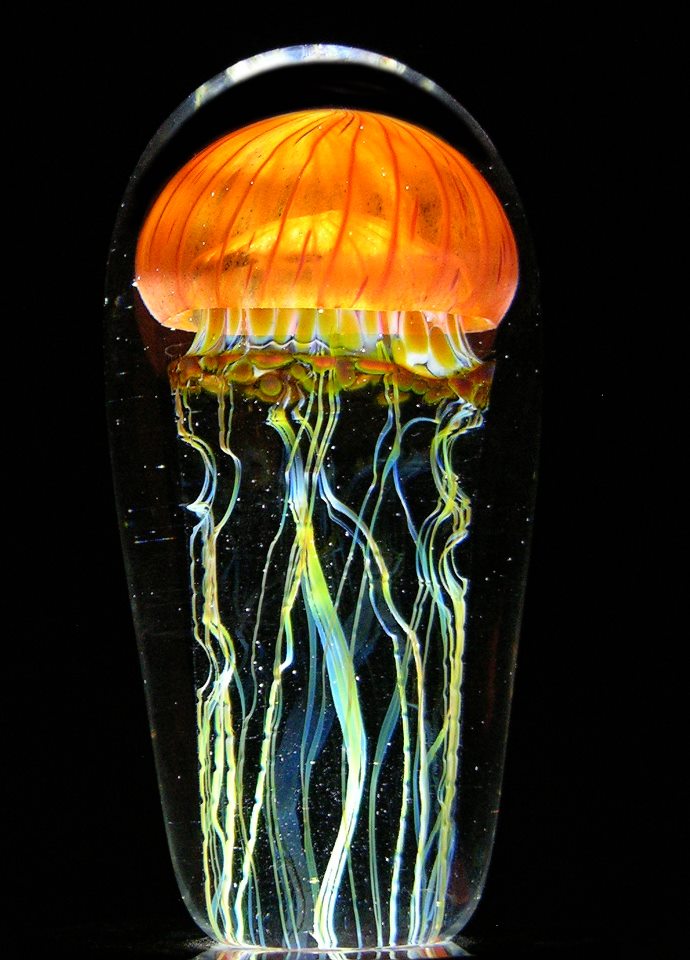 Gorgeous Glass Jellyfish Sculptures By Richard Satava 6