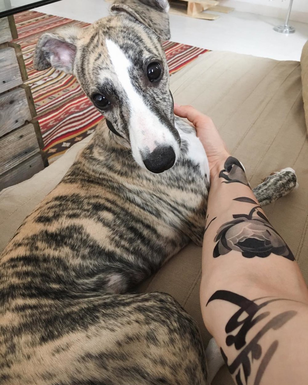 Gorgeous Illustrative Tattoos By Sasha Unisex 22