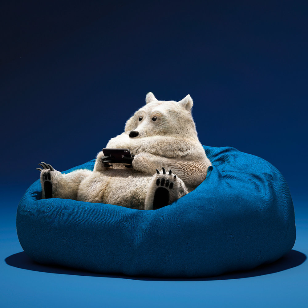 Lazy Things Funny Series Of Animals Immersed In Technology By Guodong Zhao 10