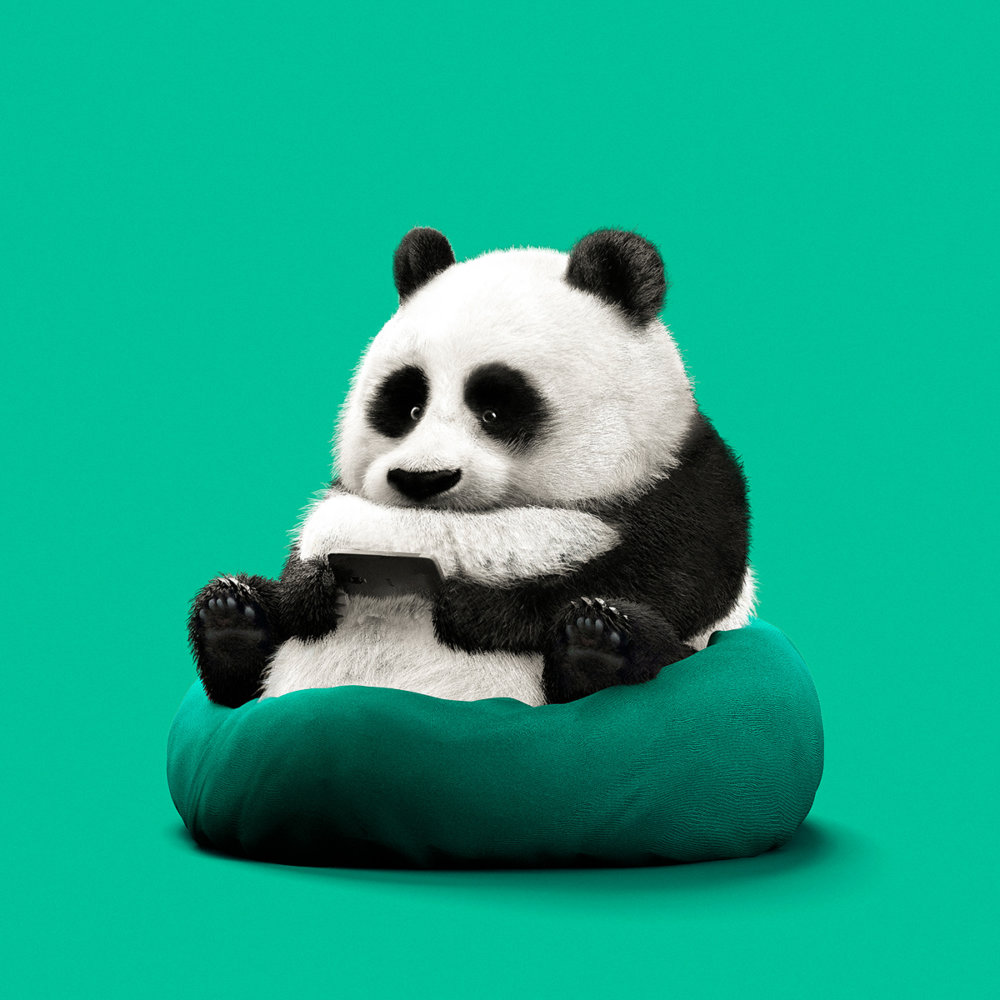 Lazy Things Funny Series Of Animals Immersed In Technology By Guodong Zhao 3