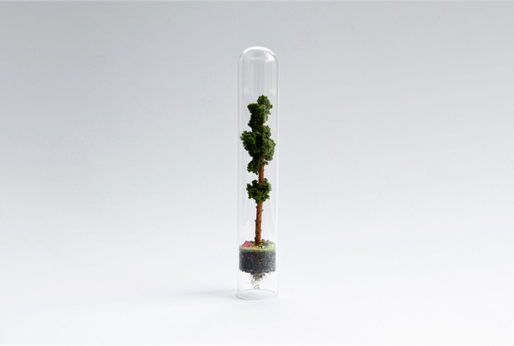 Micro Matter Mini Dioramas Inside Test Tubes By Rosa De Jong 14