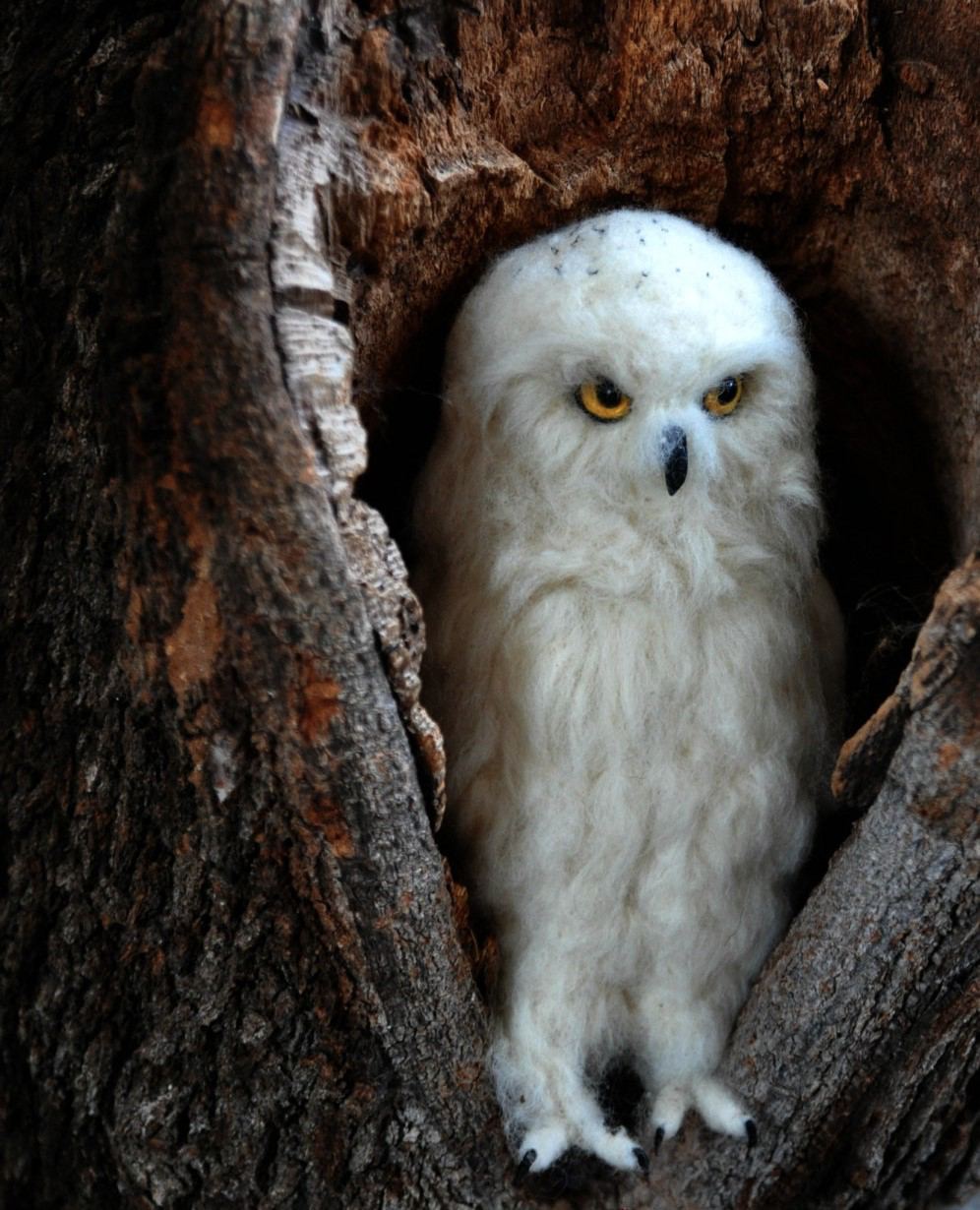 Needle Felted Animal Sculptures In Miniature By Daria Lvovsky 12