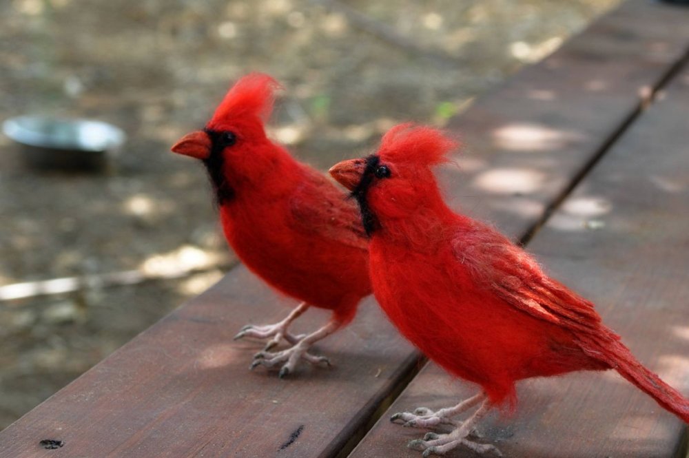 Needle Felted Animal Sculptures In Miniature By Daria Lvovsky 16