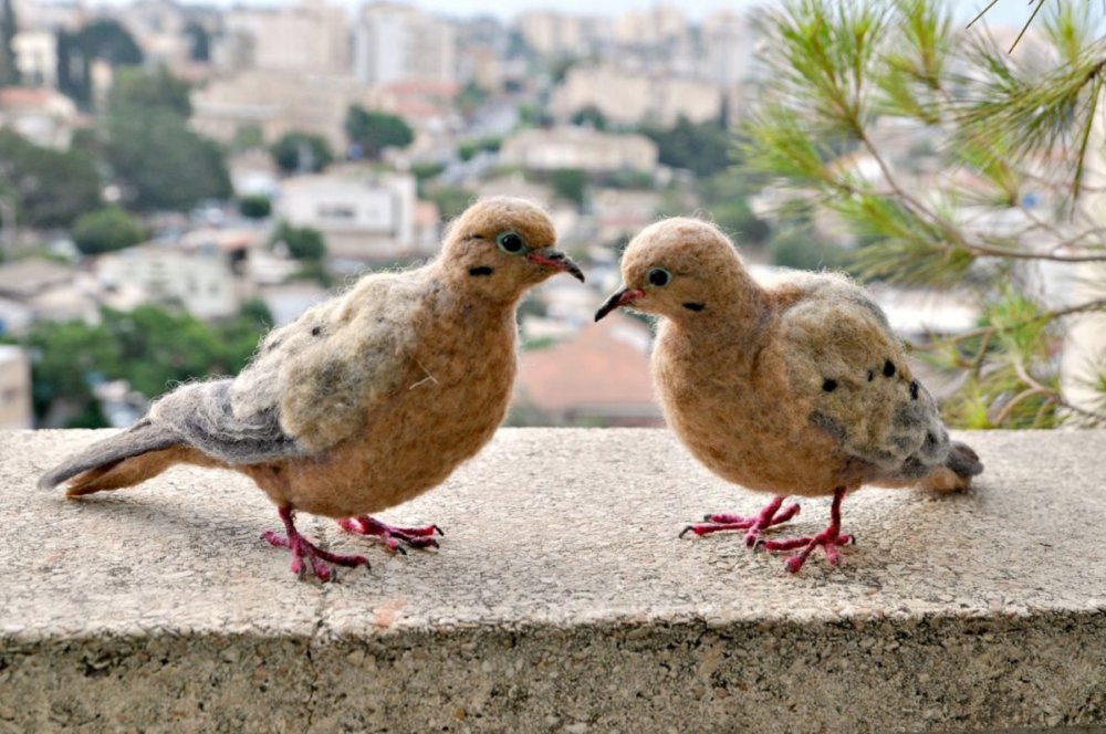 Needle Felted Animal Sculptures In Miniature By Daria Lvovsky 17