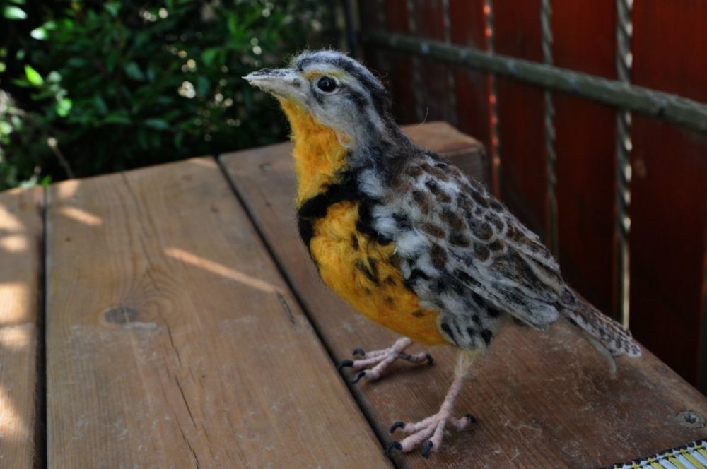 Needle Felted Animal Sculptures In Miniature By Daria Lvovsky 7