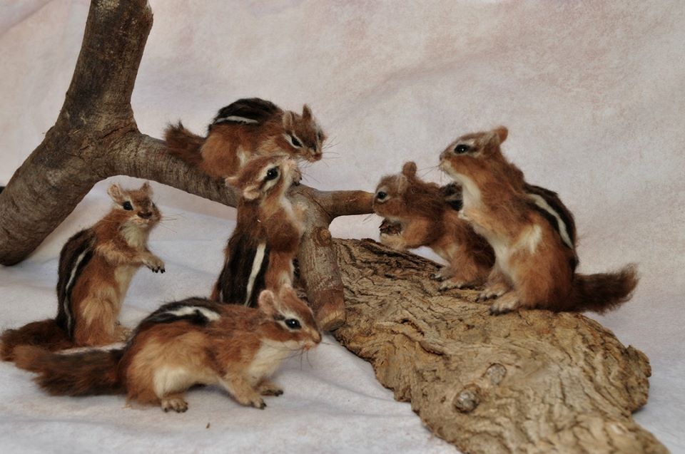 Needle Felted Animal Sculptures In Miniature By Daria Lvovsky 8