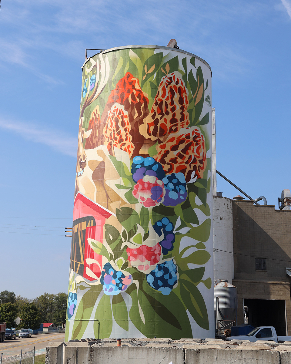 Silos Turned Into Amazingly Giant Murals By Key Detail 7