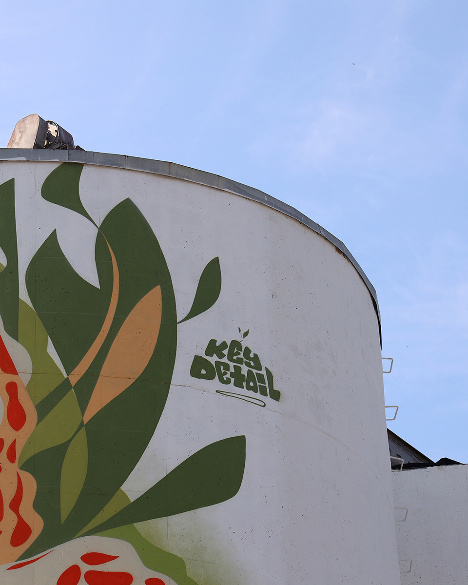 Silos Turned Into Amazingly Giant Murals By Key Detail 9