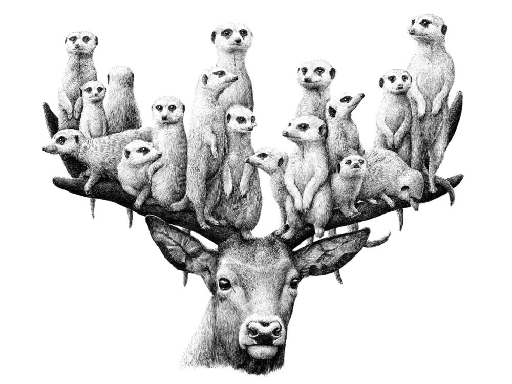 Surreal Black And White Animal Illustrations By Redmer Hoekstra 4