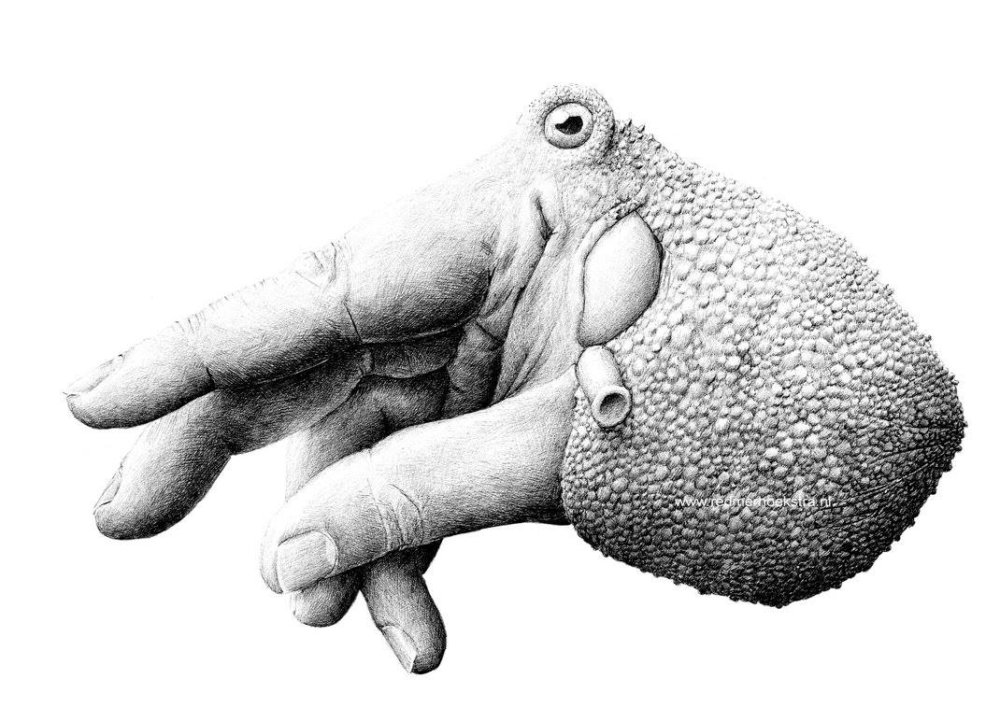 Surreal Black And White Animal Illustrations By Redmer Hoekstra 9