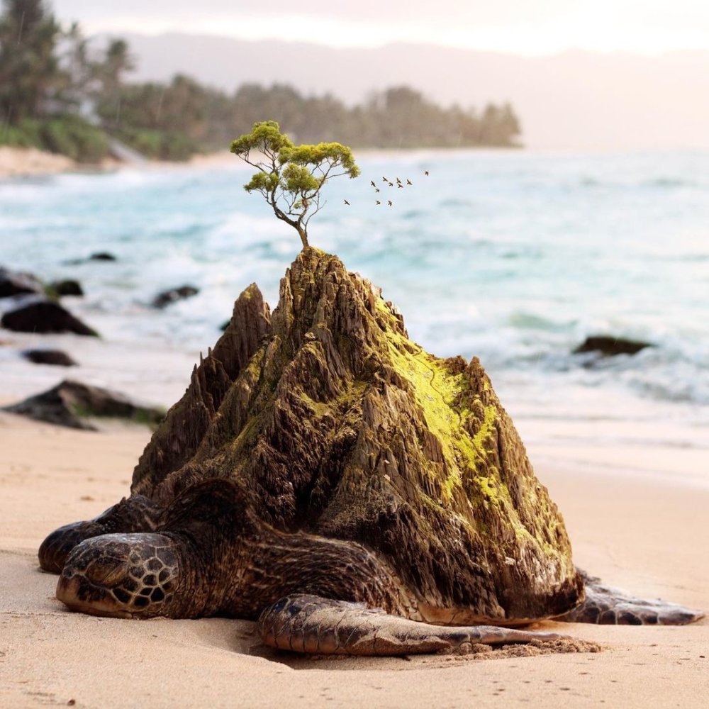 Teds Little Dream The Surreal Composites Full Of Imaginary Beings Of Ted Chin 11