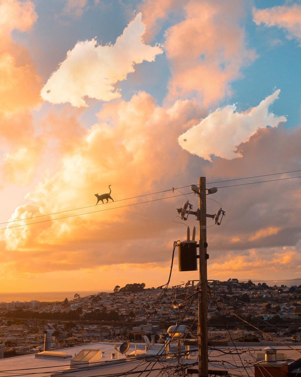 Teds Little Dream The Surreal Composites Full Of Imaginary Beings Of Ted Chin 14