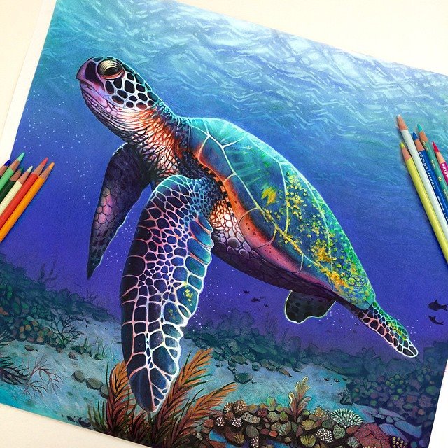 Vibrant Pencil Drawings By Morgan Davidson 7