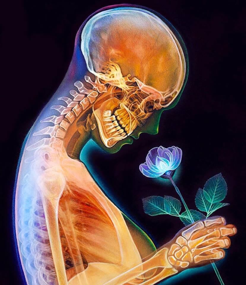 Vibrant Pencil Drawings By Morgan Davidson 9