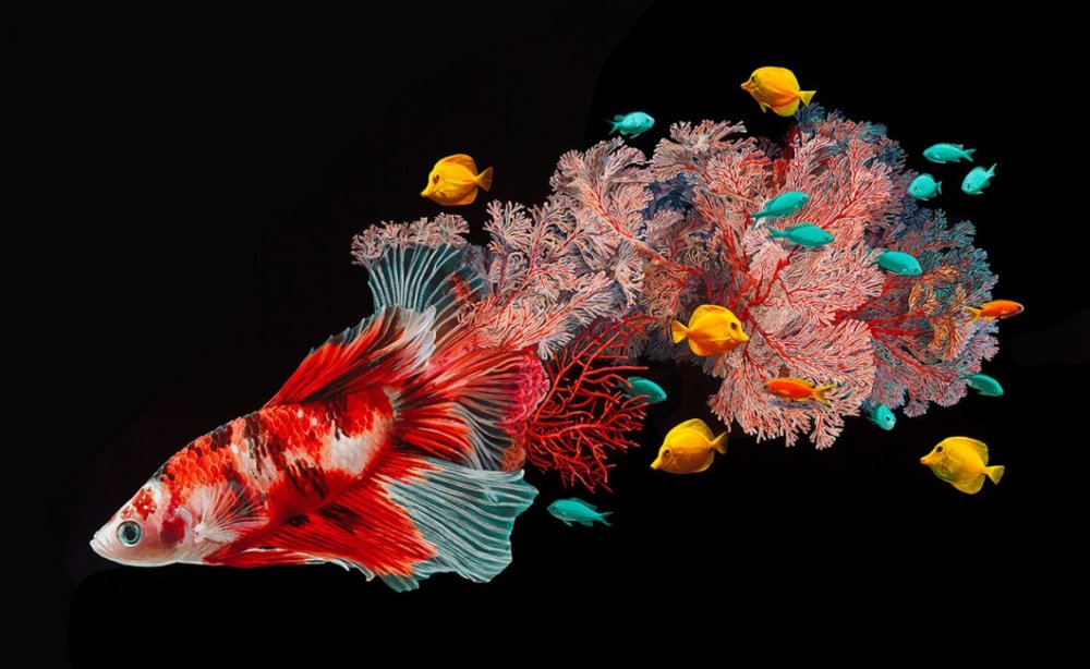 Fish And Coral Reefs Twisted Into The Lush Acrylic Paintings Of Lisa Ericson 1