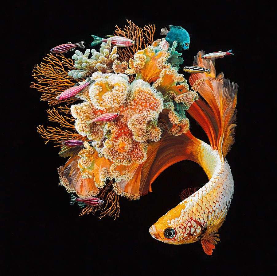 Fish And Coral Reefs Twisted Into The Lush Acrylic Paintings Of Lisa Ericson 2