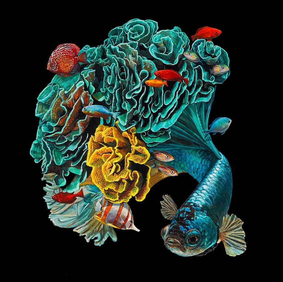 Fish And Coral Reefs Twisted Into The Lush Acrylic Paintings Of Lisa Ericson 3
