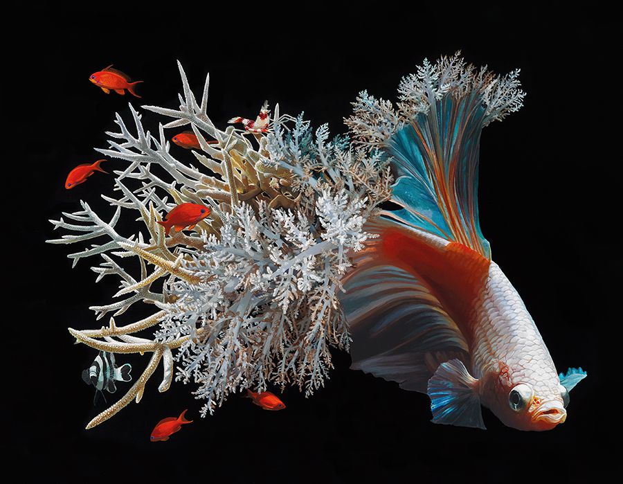 Fish And Coral Reefs Twisted Into The Lush Acrylic Paintings Of Lisa Ericson 4