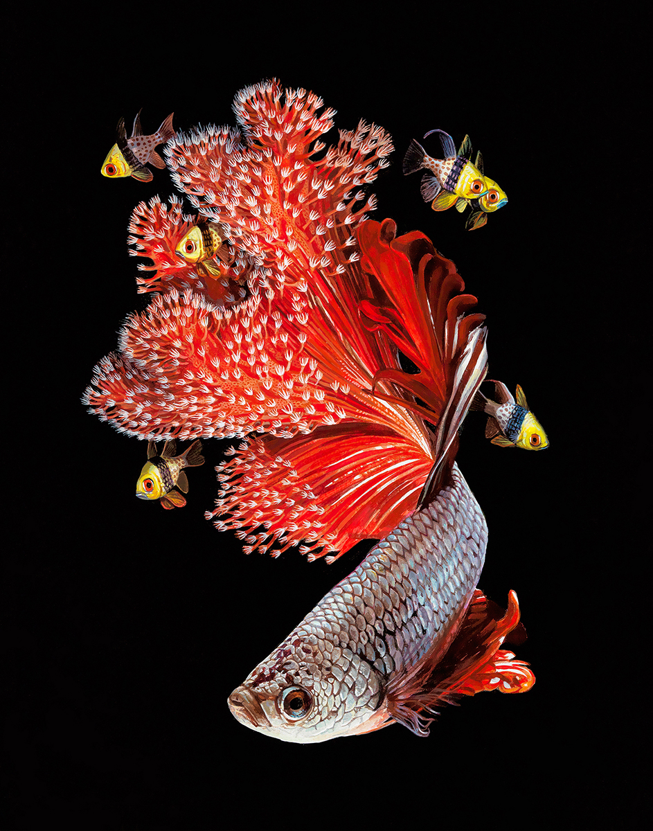Fish And Coral Reefs Twisted Into The Lush Acrylic Paintings Of Lisa Ericson 5