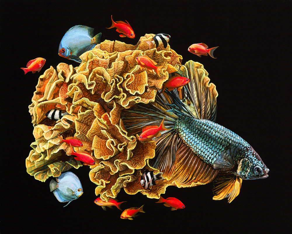 Fish And Coral Reefs Twisted Into The Lush Acrylic Paintings Of Lisa Ericson 6