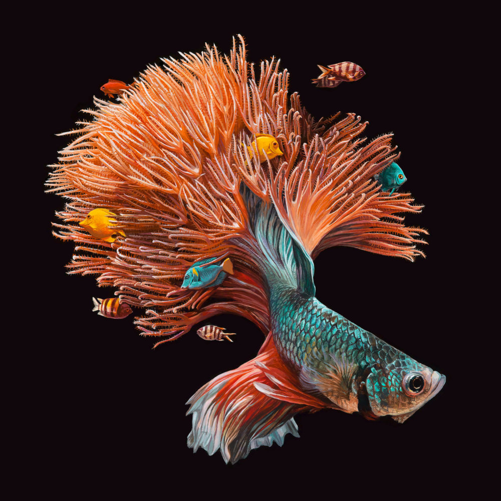 Fish And Coral Reefs Twisted Into The Lush Acrylic Paintings Of Lisa Ericson 8